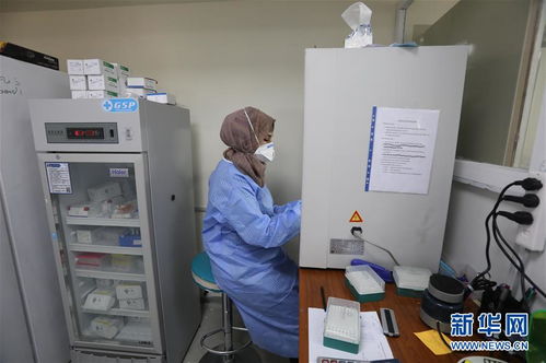 行天下之大道，汇众志而致远 战疫中的‘一带一路’与海外中企彰显全球公共产品价值